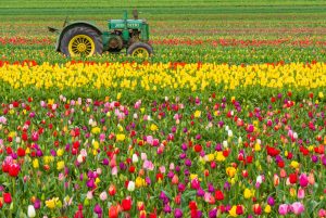 John-Deere-Tractor